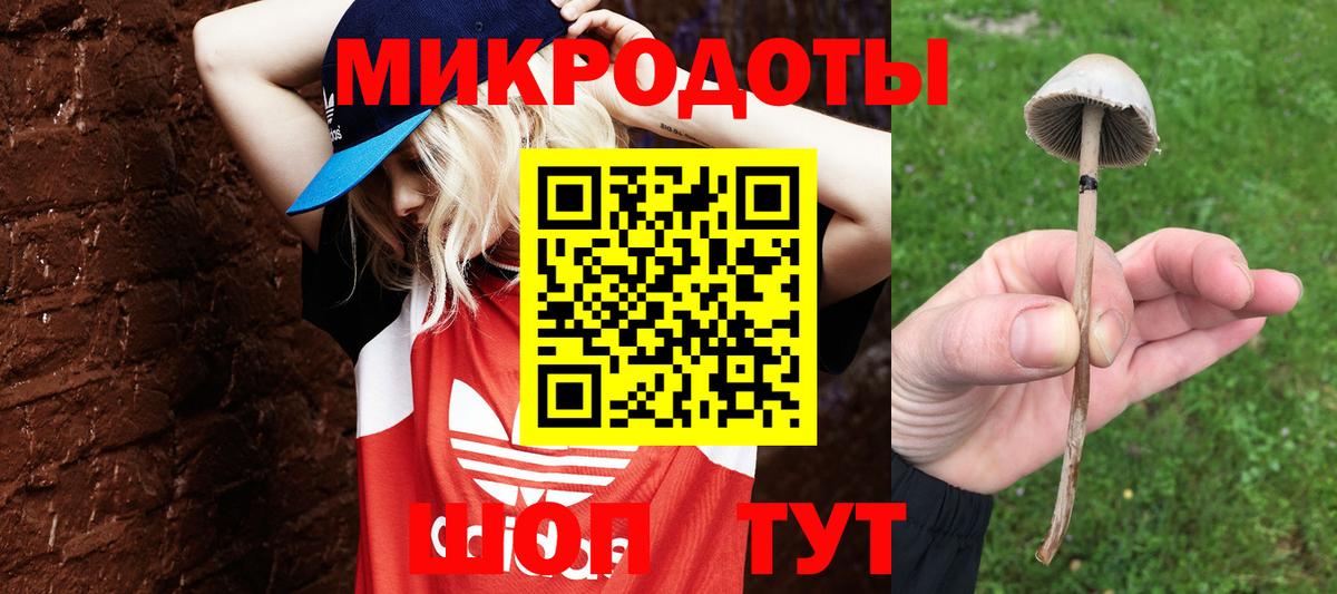 Галлюциногенные грибы Magic Shrooms  Вход с VPN  купить  сайты  Россия 